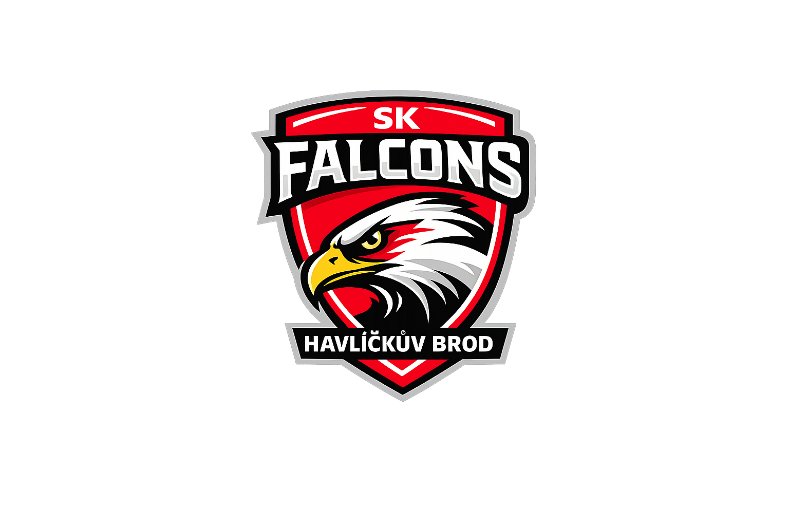 Logo SK Falcons Havlíčkův Brod